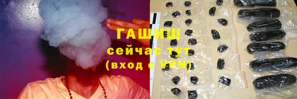 индика Богородск
