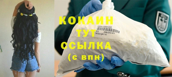 PSILOCYBIN Богородицк