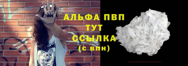 PSILOCYBIN Богородицк