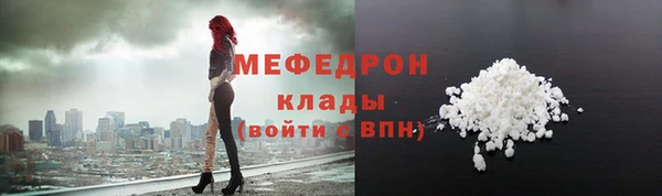 индика Богородск