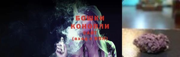 индика Богородск