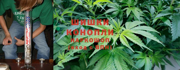 PSILOCYBIN Богородицк