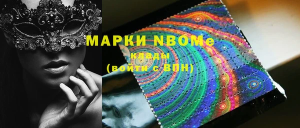индика Богородск