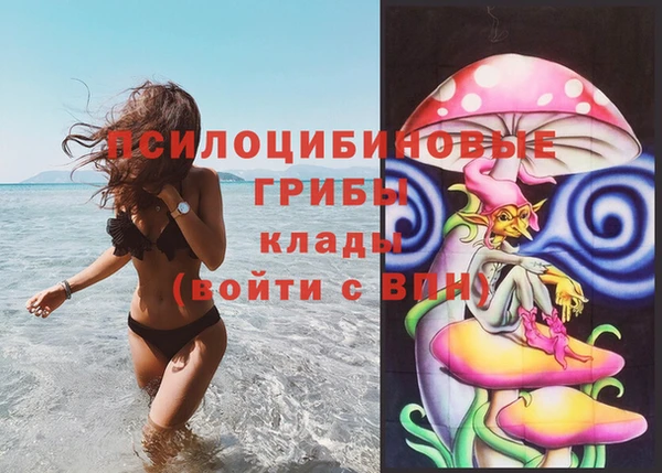 индика Богородск