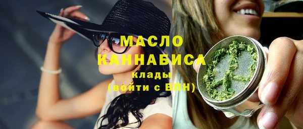 индика Богородск