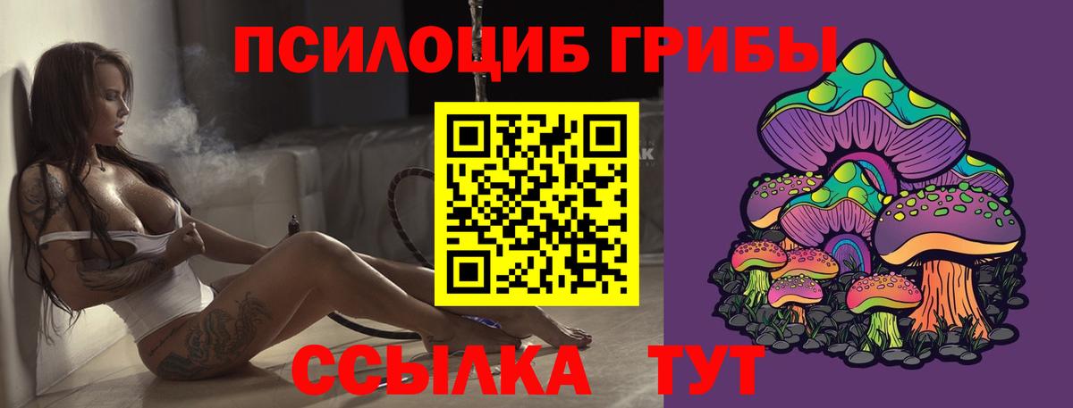 закладки  Вход с VPN  Выборг  Псилоцибиновые грибы Magic Shrooms 